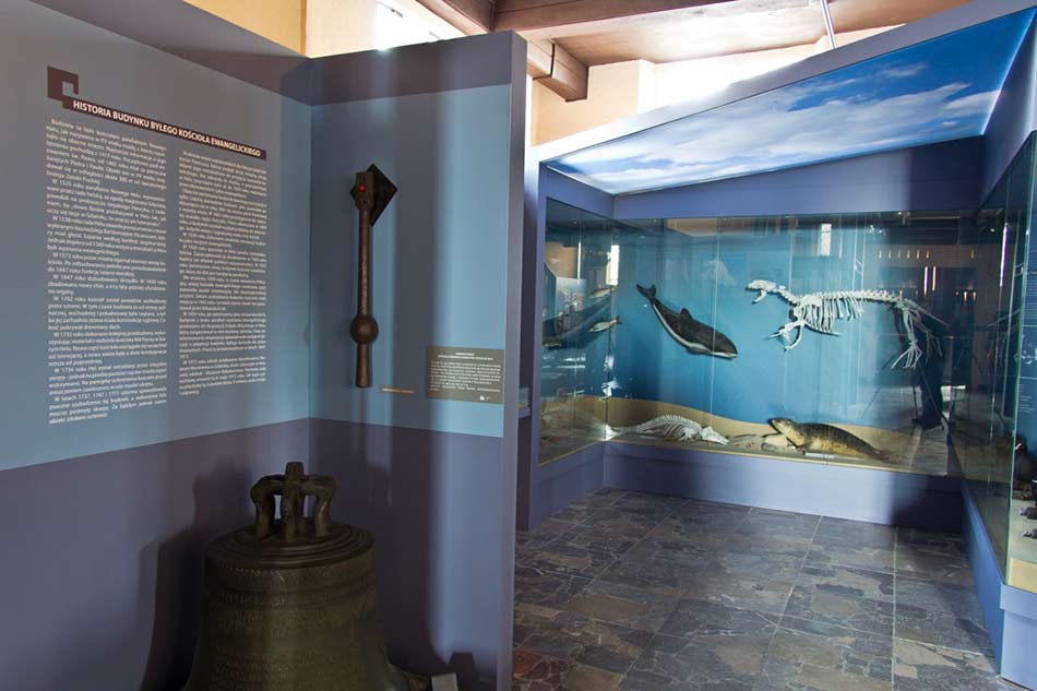 Muzeum Rybołówstwa w Helu 2