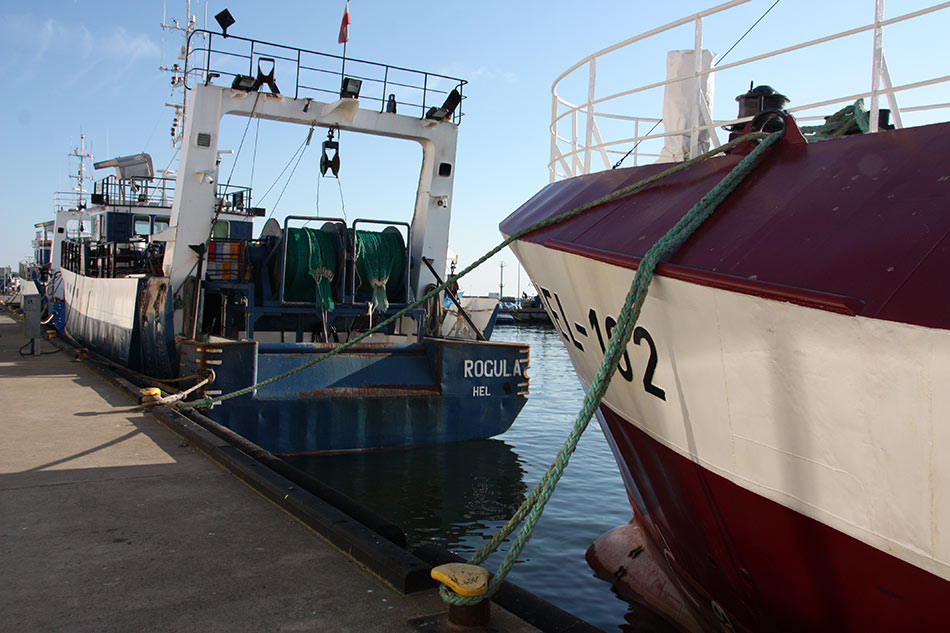 Port rybacki w HELU fot 1