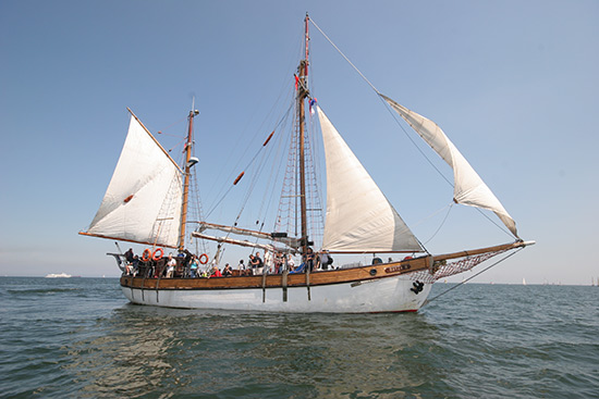 baltic sail bryza
