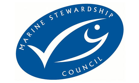 Marine-Stewardship-Counci-sty