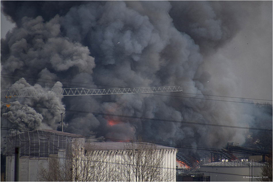 Pożar magazynu w Bałtyckim Terminalu Zbożowym fot 2