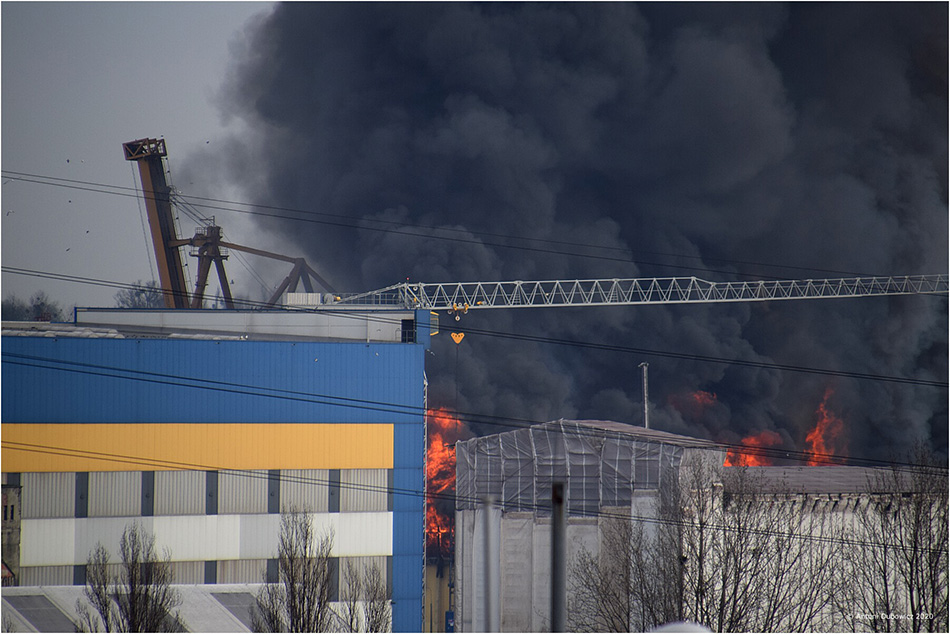 Pożar magazynu w Bałtyckim Terminalu Zbożowym fot 3