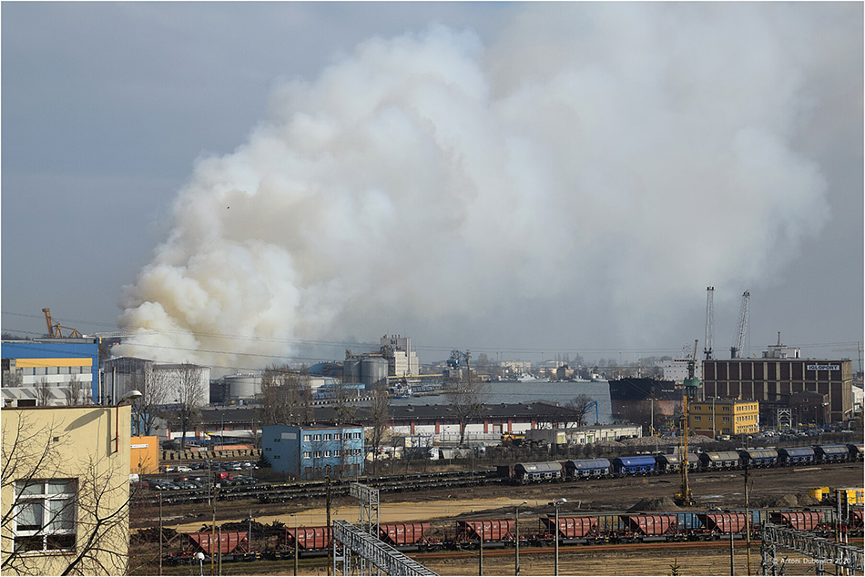 Pożar magazynu w Bałtyckim Terminalu Zbożowym fot 4