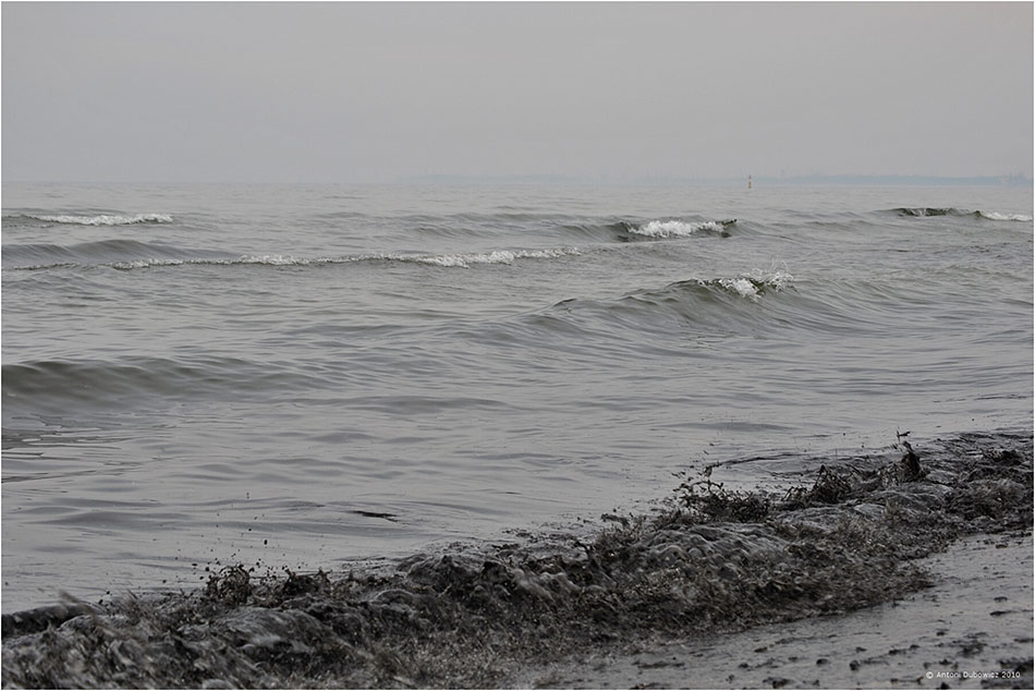 Dzien Wody Morze Baltyckie