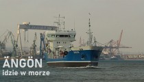 ANGON idzie w morze Port Gdynia